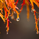 Illustration for article titled 40 Stunning Photos Of Fall Foliage